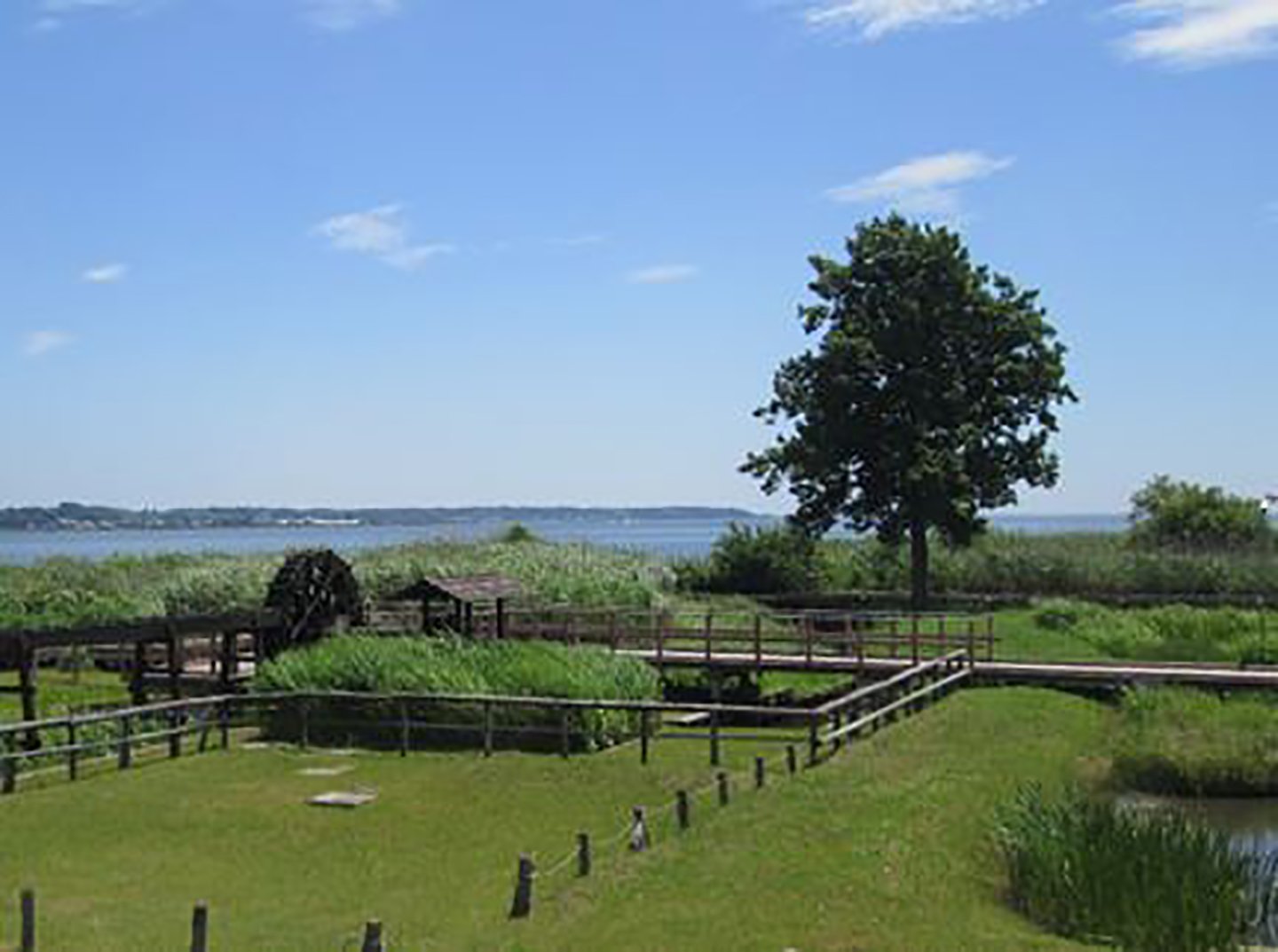 🏞️ 쓰치우라시 자연 센터(쓰치우라시 네이처 센터) 이미지 4